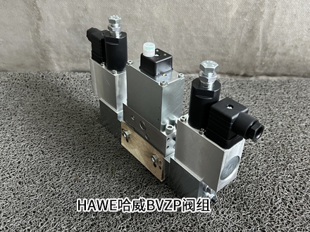 哈威BVZP 1-G22/7/ADK22/200/42R/BDK22/200/42R-M24/8W