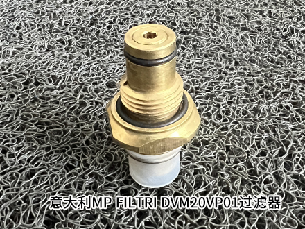 MP FILTRI DVM20VP01