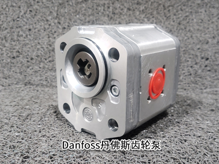 丹佛斯111.20.080.00 SNP2NN/011RN03CA