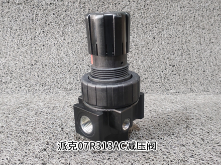 派克07R313AC 派克07R313AC